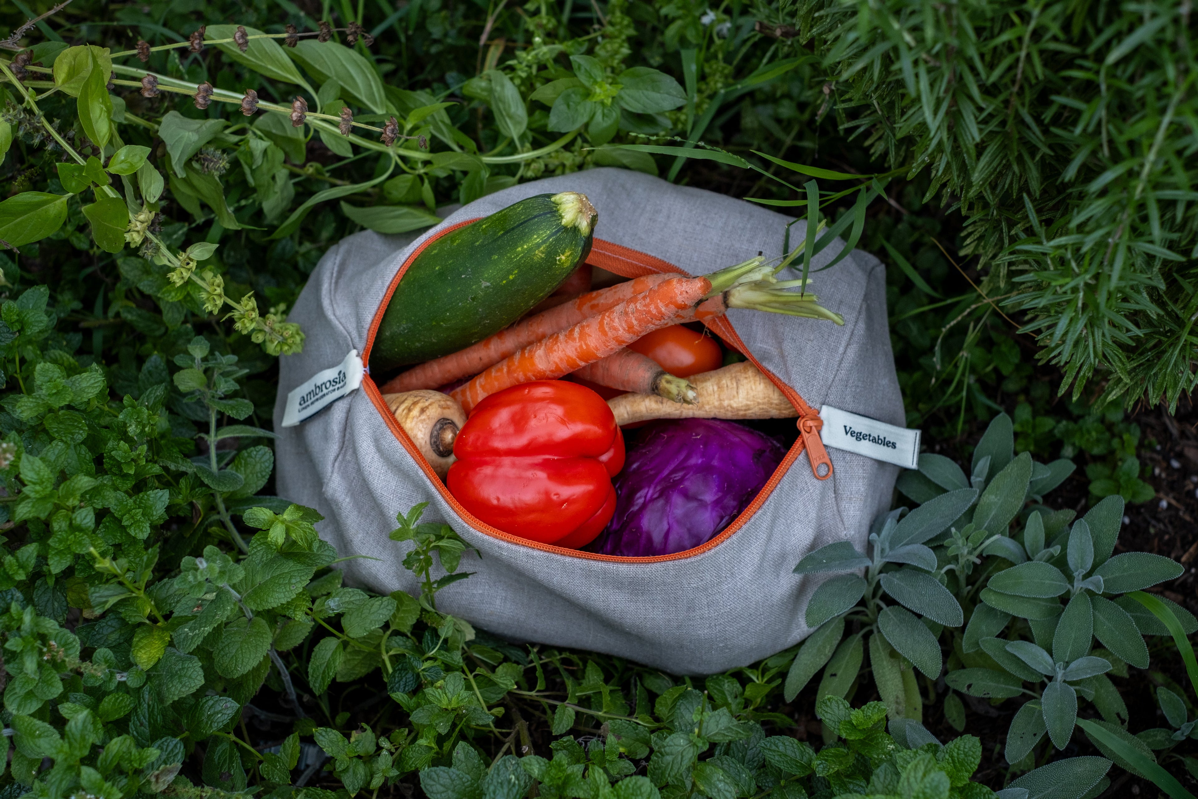 Preparing for Thanksgiving: Slowing Down and Savoring the Season