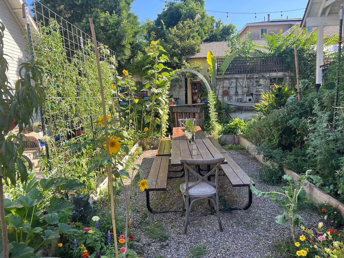 garden view in the backyard of a home