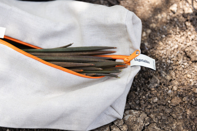 Rooted in Impact: Ambrosia Bags Travel to Kenya with Ecodrive
