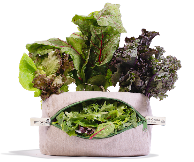 leafy green vegetable in an Ambrosia linen produce bag