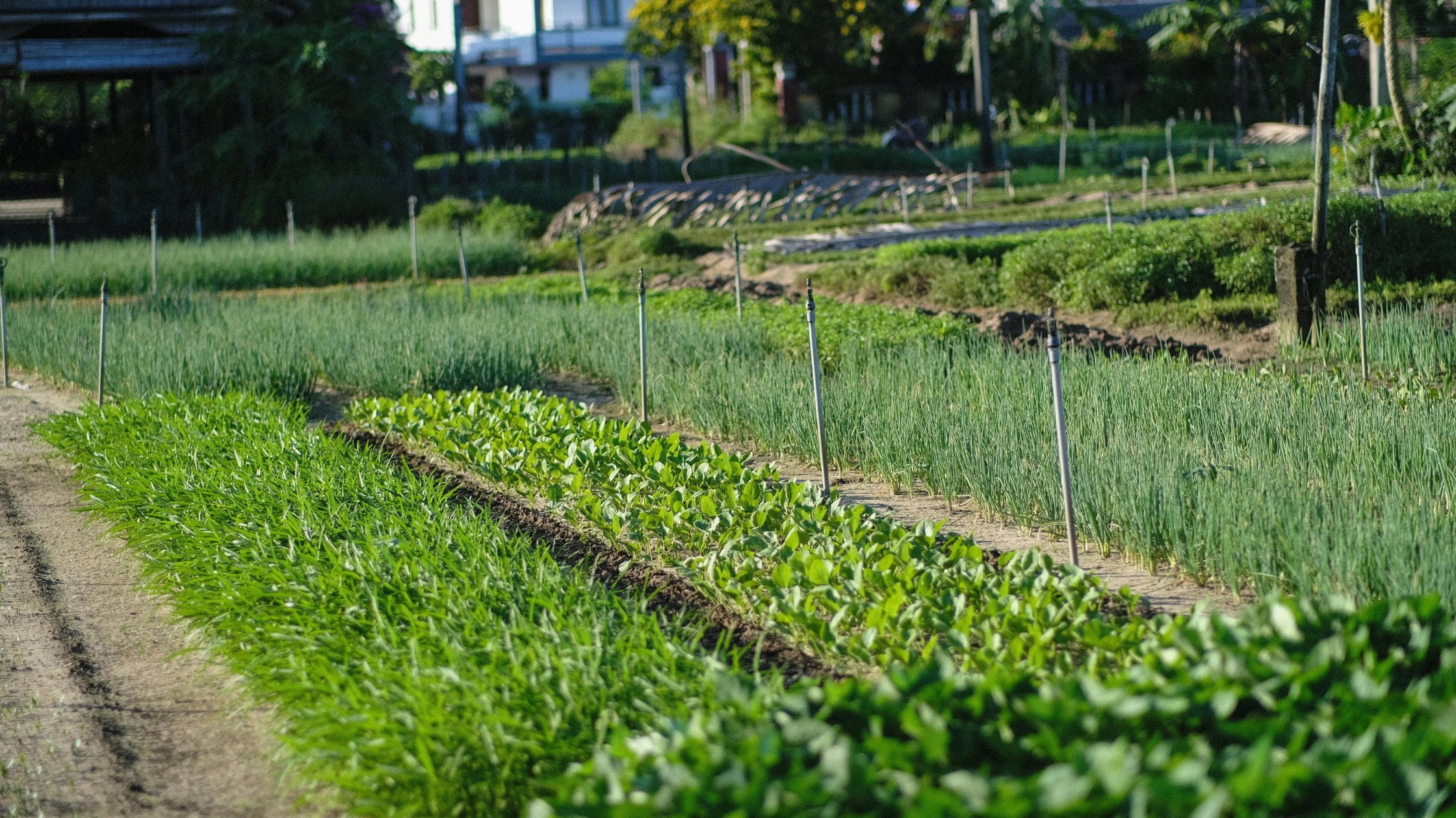 Earth Month Kitchen Reset: Simple Swaps to Waste Less Food in April