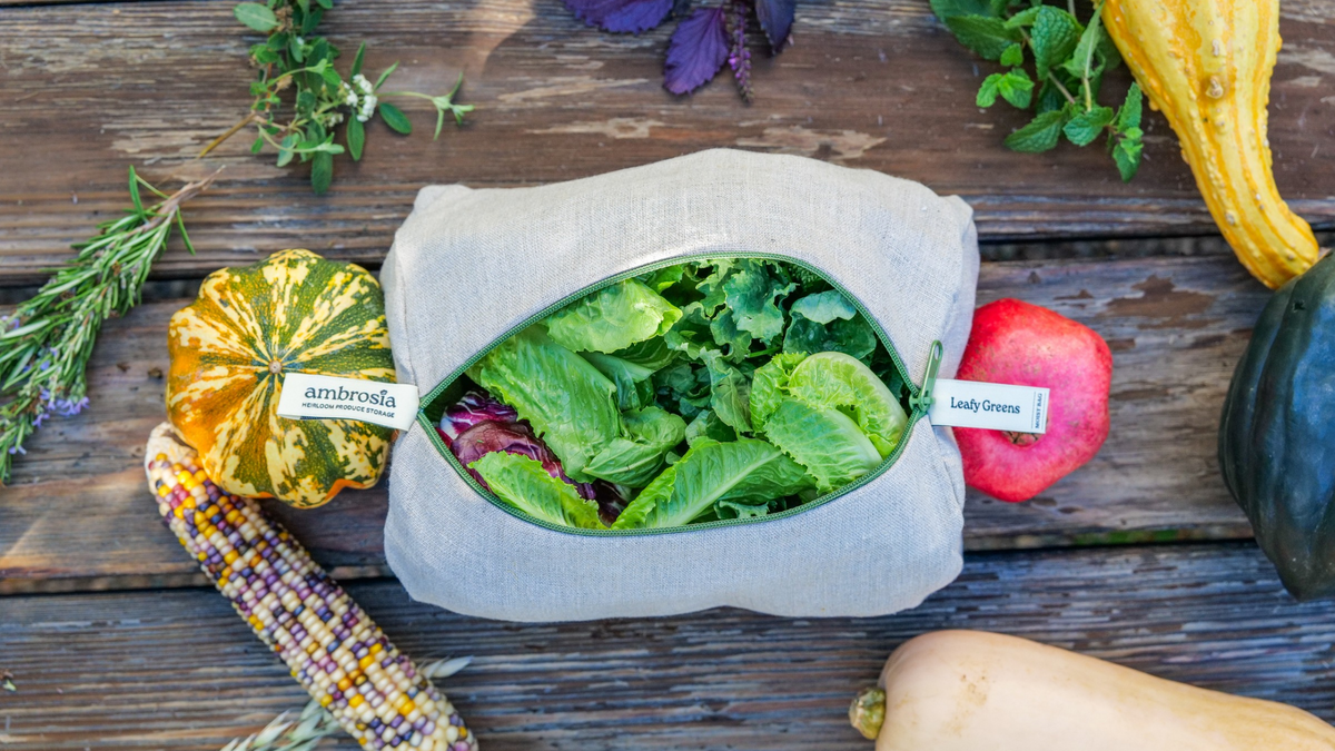 How to Keep Lettuce Fresh Longer in the Refrigerator