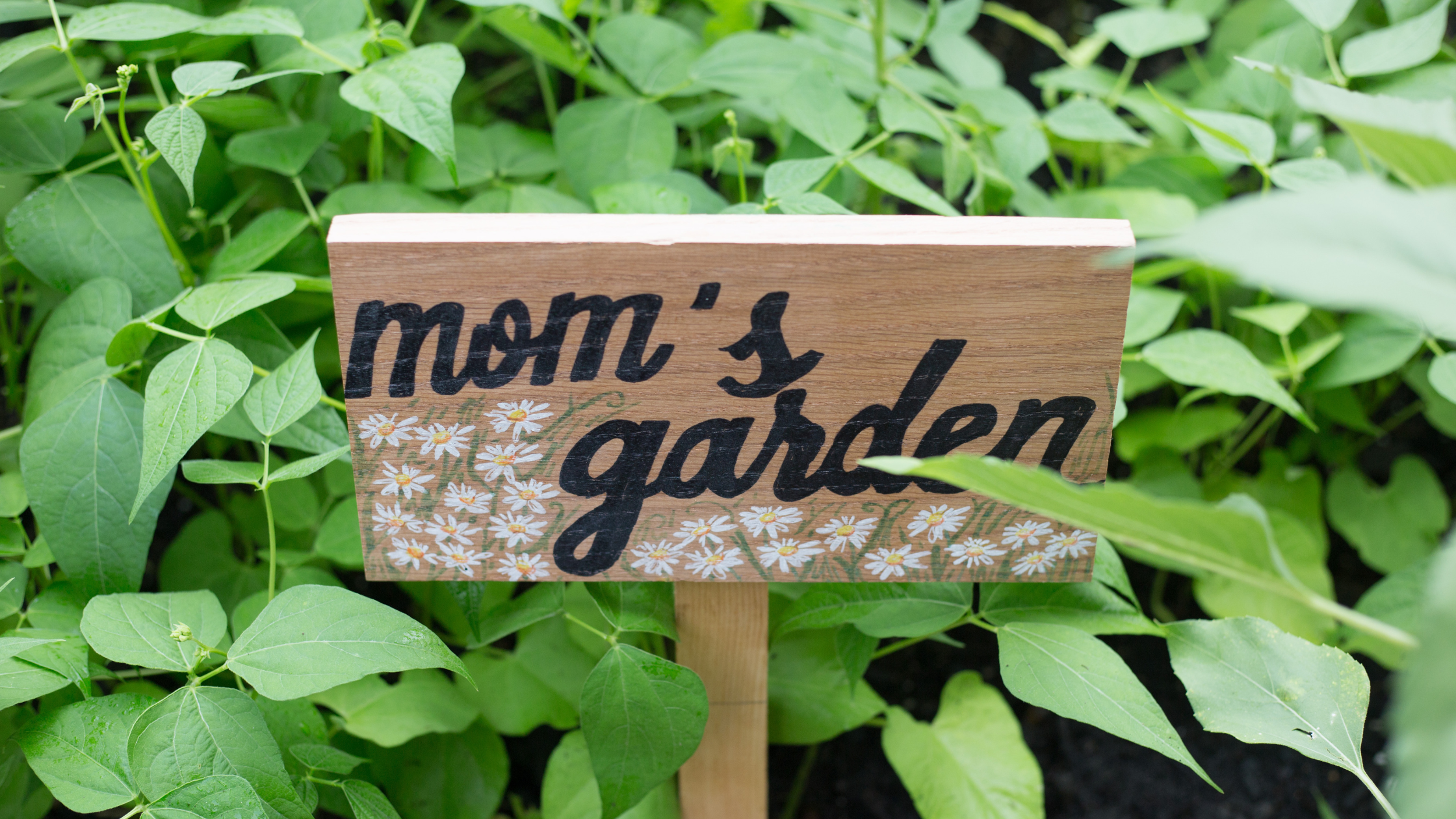 Thinking Ahead for the Moms We Love: A Mother’s Day Note
