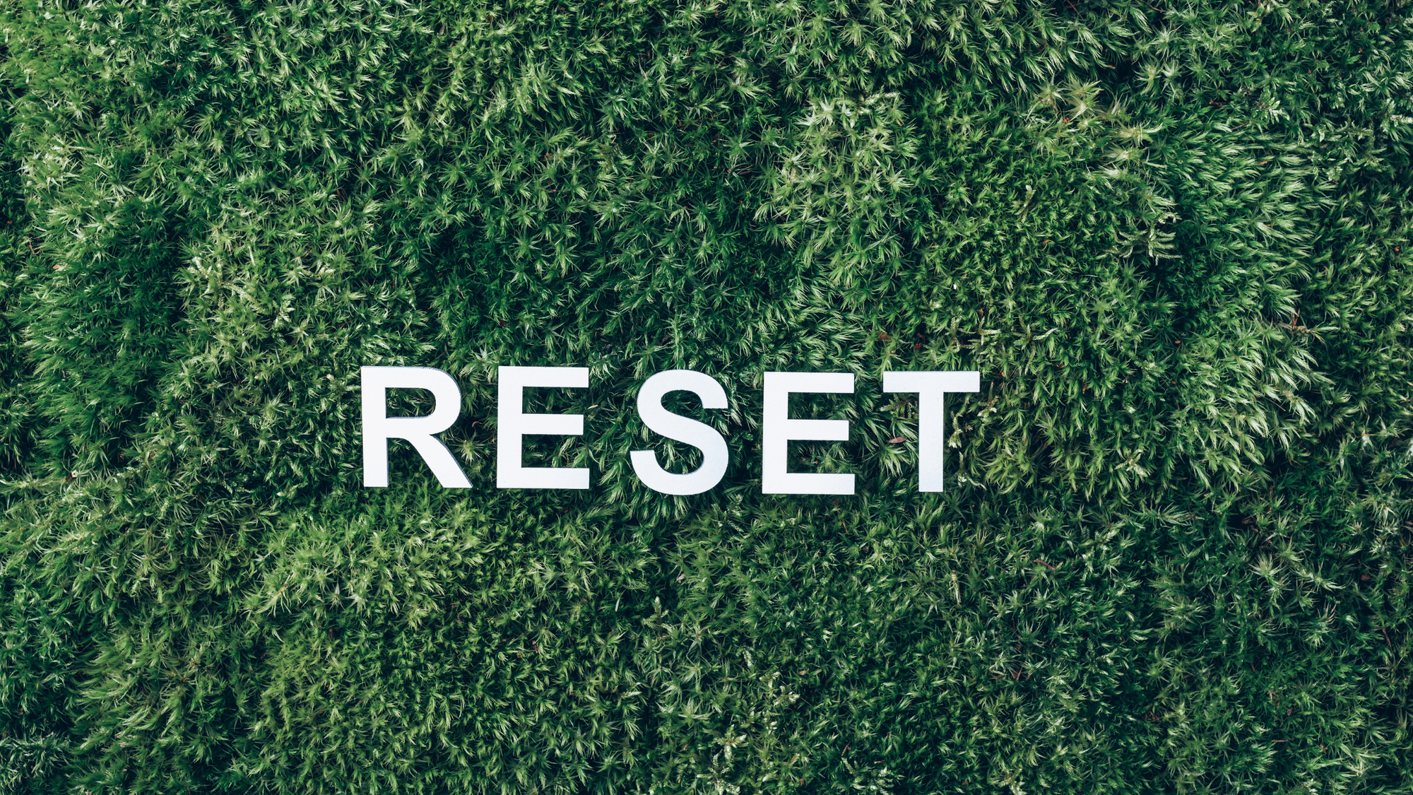 Spring Fridge Reset: A Simple Routine to Use What You Buy
