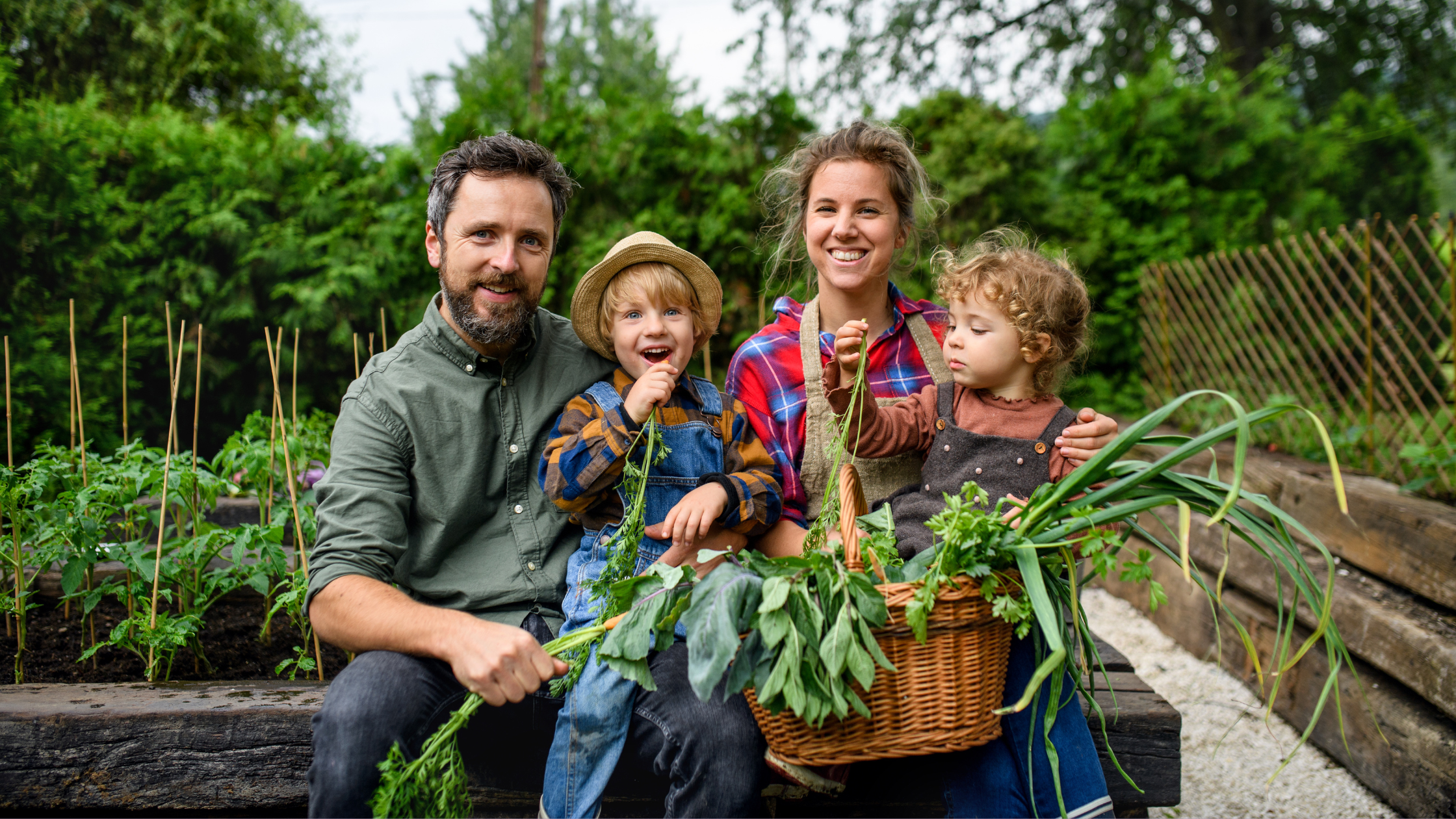 How to Plan a Garden for a Family of 4