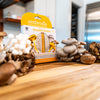 The Mushroom Bag
