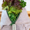 The Leafy Greens Bag