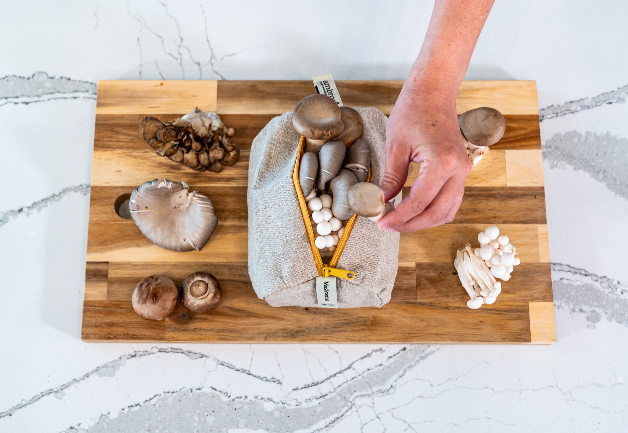 The Mushroom Bag