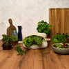 Leafy Greens Bag